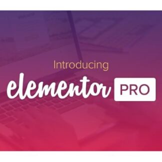 Elementor Pro