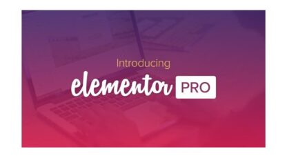 Elementor Pro